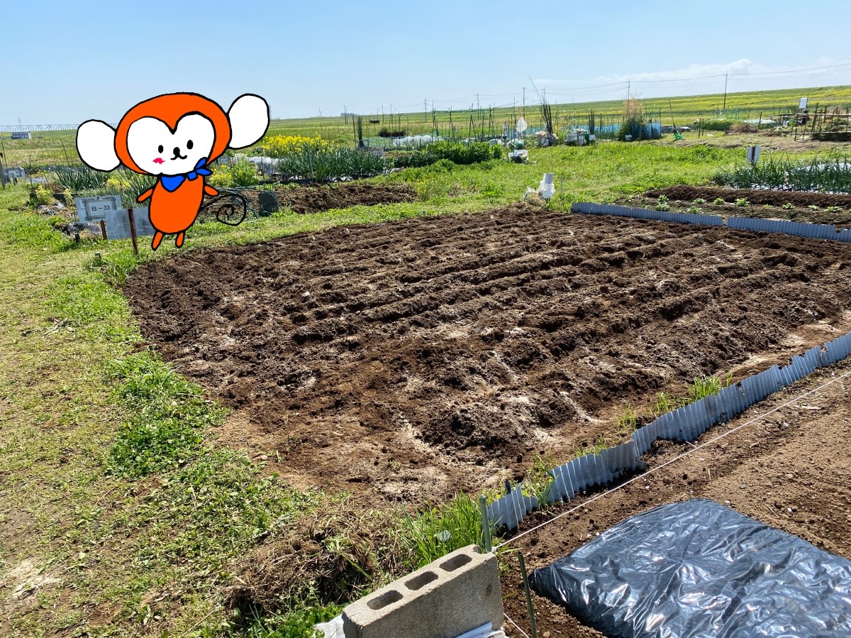 市民農園での野菜づくり 家庭菜園を始めよう 必要なモノと野菜を植える準備について よっともんきーkoo つれづれ日記